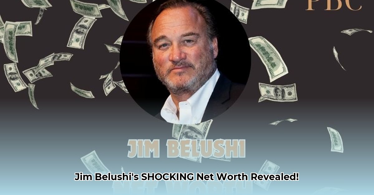 what-is-jim-belushi-s-net-worth